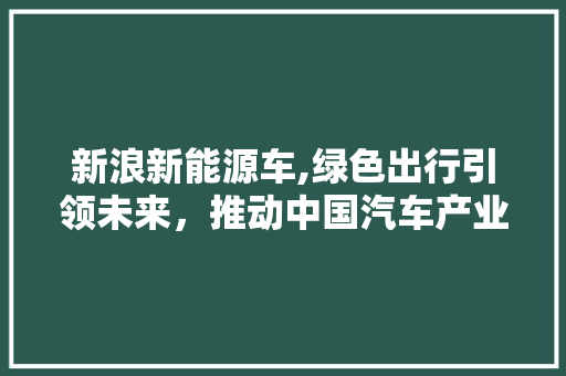 新浪新能源车,绿色出行引领未来，推动中国汽车产业变革