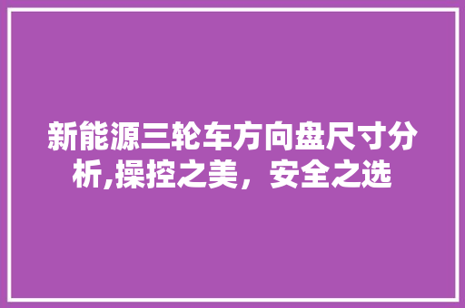 新能源三轮车方向盘尺寸分析,操控之美，安全之选