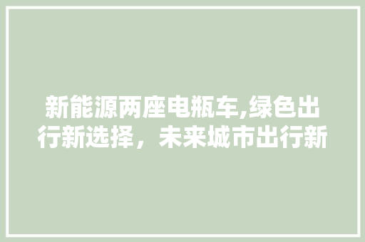 新能源两座电瓶车,绿色出行新选择，未来城市出行新趋势