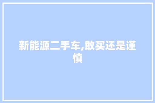 新能源二手车,敢买还是谨慎