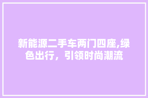 新能源二手车两门四座,绿色出行，引领时尚潮流 自动驾驶