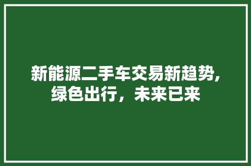 新能源二手车交易新趋势,绿色出行，未来已来