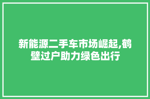 新能源二手车市场崛起,鹤壁过户助力绿色出行