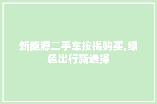 新能源二手车按揭购买,绿色出行新选择