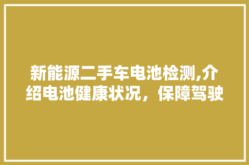 新能源二手车电池检测,介绍电池健康状况，保障驾驶安全