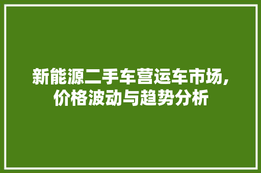 新能源二手车营运车市场,价格波动与趋势分析