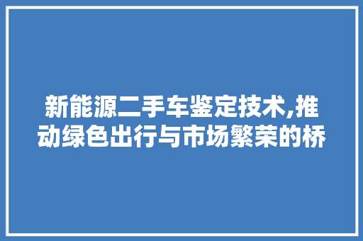 新能源二手车鉴定技术,推动绿色出行与市场繁荣的桥梁