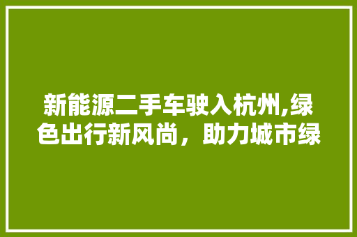 新能源二手车驶入杭州,绿色出行新风尚，助力城市绿色发展