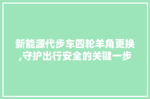 新能源代步车四轮羊角更换,守护出行安全的关键一步