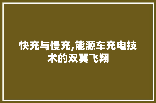 快充与慢充,能源车充电技术的双翼飞翔 智能驾驶