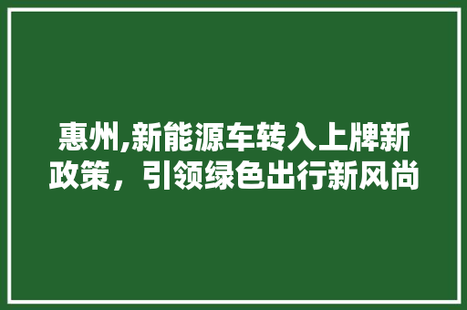 惠州,新能源车转入上牌新政策，引领绿色出行新风尚 车载导航