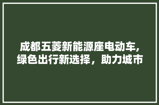 成都五菱新能源座电动车,绿色出行新选择，助力城市环保