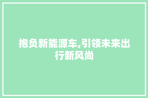 抱负新能源车,引领未来出行新风尚