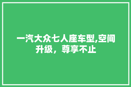 一汽大众七人座车型,空间升级，尊享不止