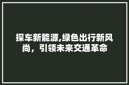 探车新能源,绿色出行新风尚，引领未来交通革命