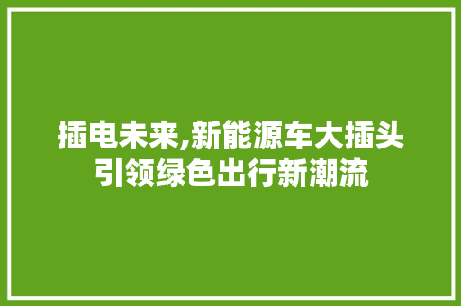 插电未来,新能源车大插头引领绿色出行新潮流