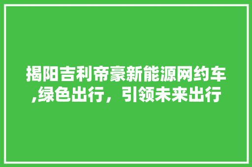 揭阳吉利帝豪新能源网约车,绿色出行，引领未来出行新风尚