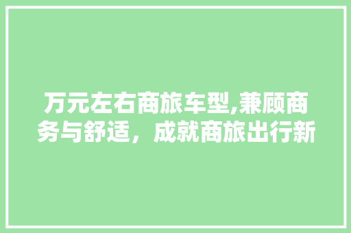 万元左右商旅车型,兼顾商务与舒适，成就商旅出行新选择