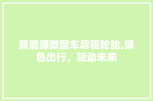 新能源微型车后驱轮胎,绿色出行，驱动未来