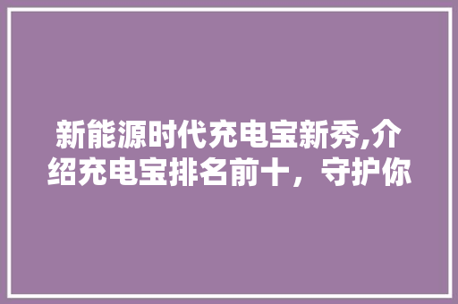 新能源时代充电宝新秀,介绍充电宝排名前十，守护你的出行无忧