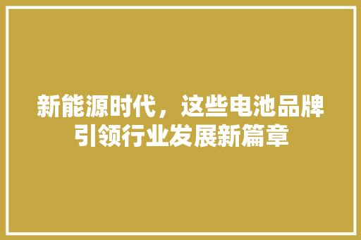新能源时代，这些电池品牌引领行业发展新篇章