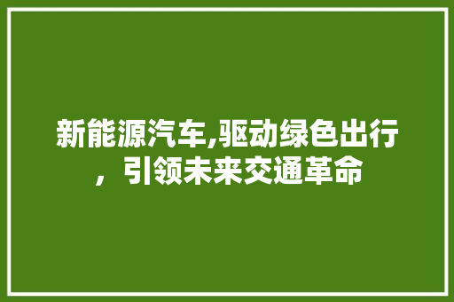 新能源汽车,驱动绿色出行，引领未来交通革命