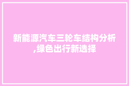 新能源汽车三轮车结构分析,绿色出行新选择
