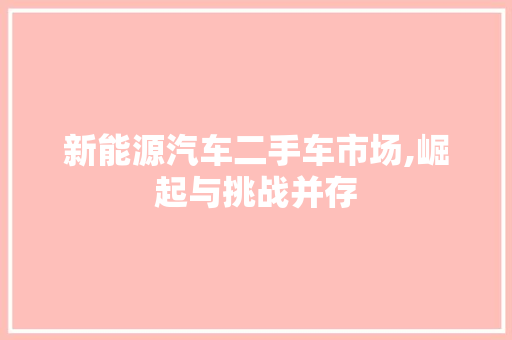 新能源汽车二手车市场,崛起与挑战并存