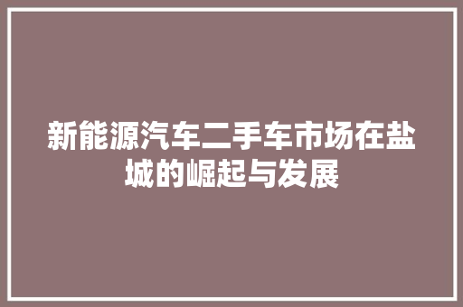 新能源汽车二手车市场在盐城的崛起与发展