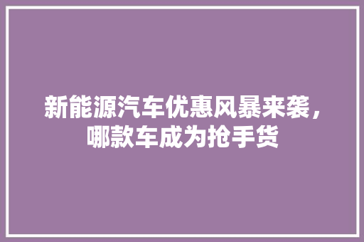 新能源汽车优惠风暴来袭，哪款车成为抢手货