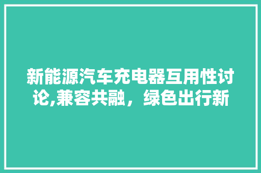 新能源汽车充电器互用性讨论,兼容共融，绿色出行新篇章
