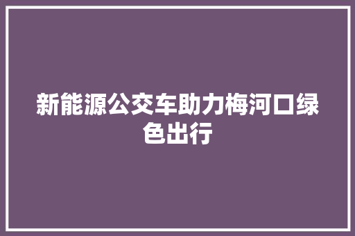 新能源公交车助力梅河口绿色出行 新能源汽车