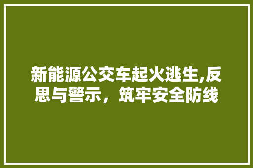 新能源公交车起火逃生,反思与警示，筑牢安全防线