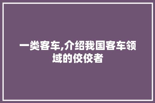 一类客车,介绍我国客车领域的佼佼者