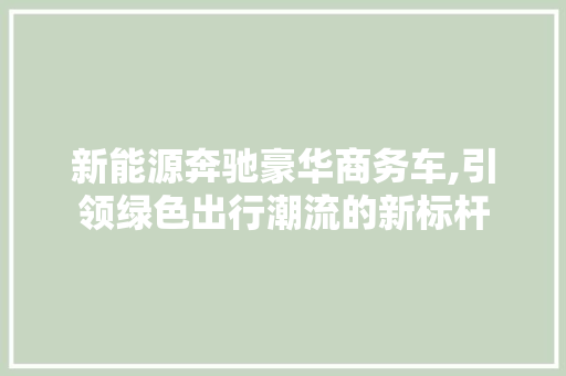新能源奔驰豪华商务车,引领绿色出行潮流的新标杆