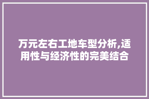 万元左右工地车型分析,适用性与经济性的完美结合