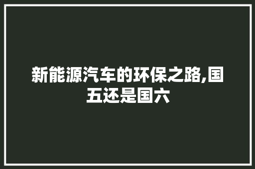 新能源汽车的环保之路,国五还是国六