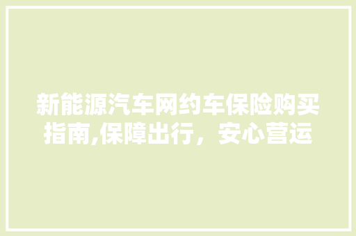 新能源汽车网约车保险购买指南,保障出行，安心营运