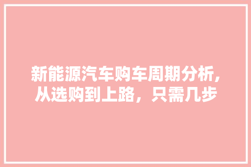 新能源汽车购车周期分析,从选购到上路，只需几步
