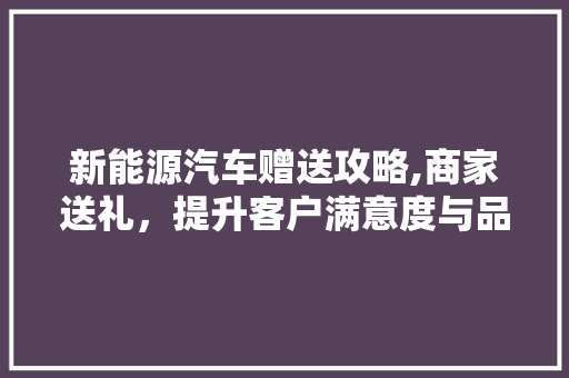 新能源汽车赠送攻略,商家送礼，提升客户满意度与品牌形象