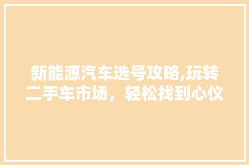新能源汽车选号攻略,玩转二手车市场，轻松找到心仪爱车