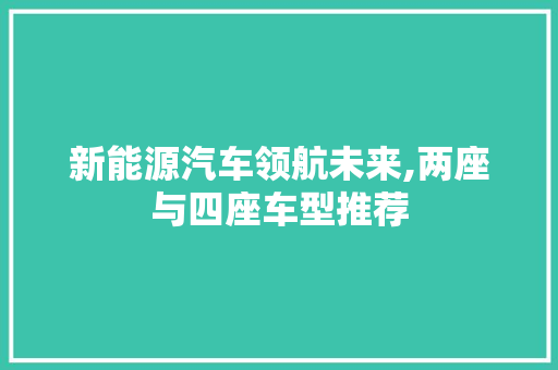 新能源汽车领航未来,两座与四座车型推荐