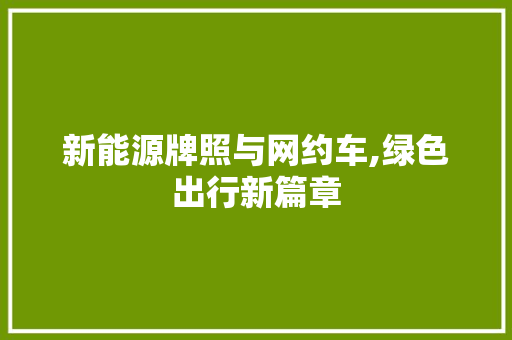 新能源牌照与网约车,绿色出行新篇章
