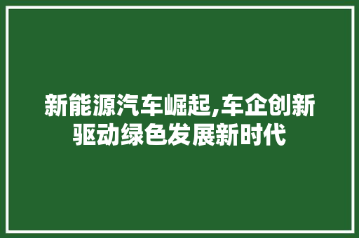 新能源汽车崛起,车企创新驱动绿色发展新时代