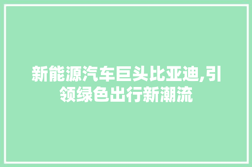 新能源汽车巨头比亚迪,引领绿色出行新潮流