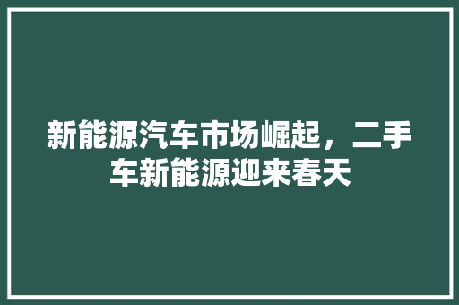新能源汽车市场崛起，二手车新能源迎来春天
