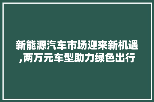 新能源汽车市场迎来新机遇,两万元车型助力绿色出行