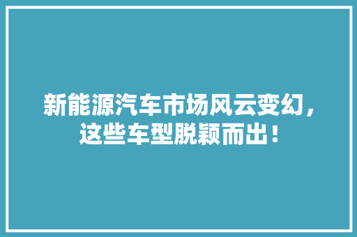 新能源汽车市场风云变幻，这些车型脱颖而出！