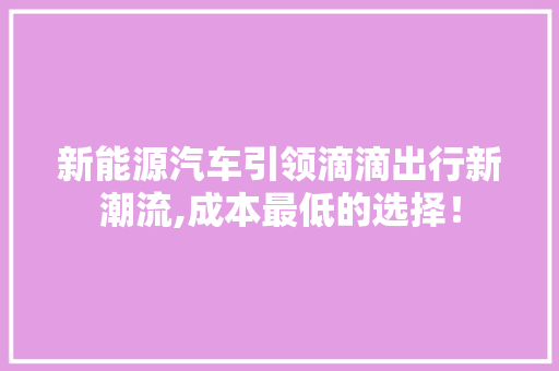 新能源汽车引领滴滴出行新潮流,成本最低的选择！