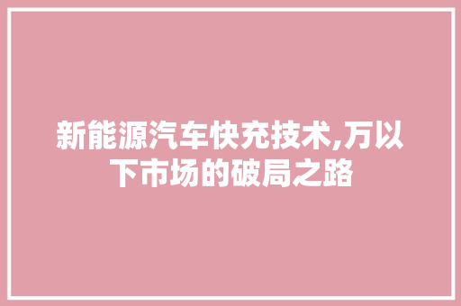 新能源汽车快充技术,万以下市场的破局之路